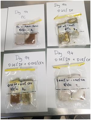 Assessment of the antifungal efficacy of whey fermentate alone or in combination with citrus extract to control Aspergillus flavus mold in semi-moist pet food for dogs